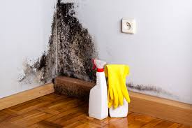 Best Industrial Mold Remediation  in Wymore, NE